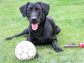 RTEmagicC Shadow 01 klein.jpg