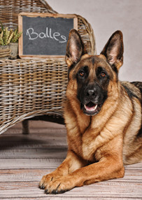 Balles1 400