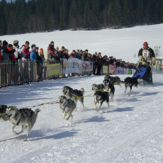 2006 Bernau HSR0026
