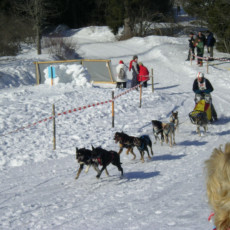 2006 Bernau HSR0055