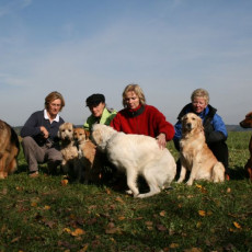 2008 10 18 Teamtest klein 0089