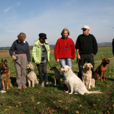 2008 10 18 Teamtest klein 0096