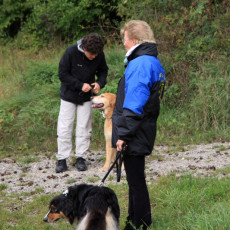 02 Spaziergang 21 09 08 04