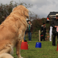 Gruppe3 21.09.2008 14 53 08