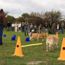 Gruppe3 21.09.2008 14 53 52