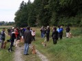 Gruppe4 Quadrille 21 09 08 002 21.09.2008 10 55 11
