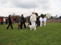 Gruppe4 Quadrille 21 09 08 002 21.09.2008 15 04 37