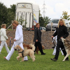 Gruppe4 Quadrille 21 09 08 002 21.09.2008 15 06 21