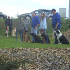 Sommerfest 2008 i 018