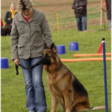 2008 SF Dittus 034