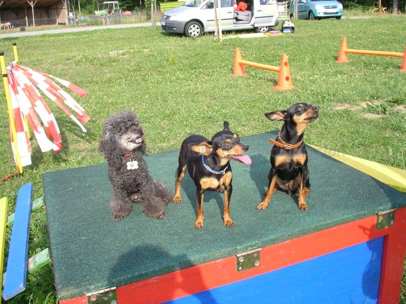 Uschi s Vormittagsgruppe0041 i