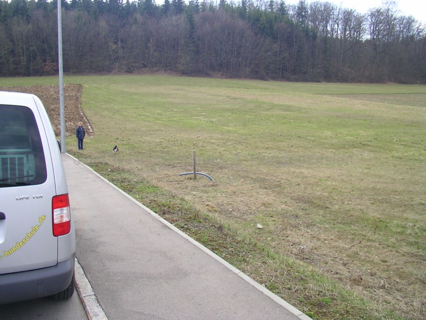 2005 03 25 Projekt Hundepension Bauplatz Wildberg0004