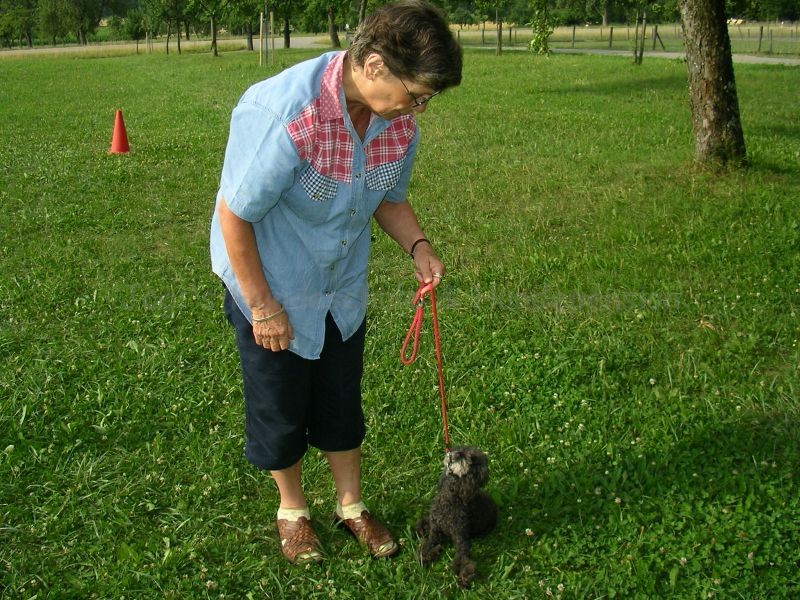 Uschi s Vormittagsgruppe0006 i