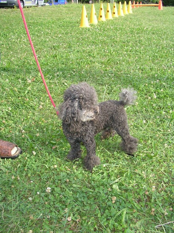 Uschi s Vormittagsgruppe0008 i