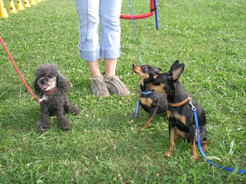 Uschi s Vormittagsgruppe0011 i