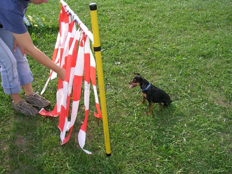 Uschi s Vormittagsgruppe0012 i