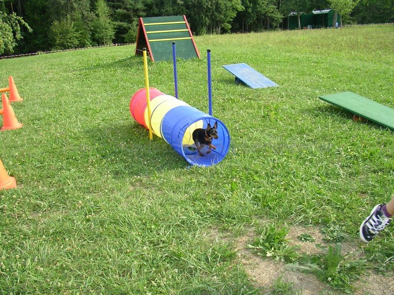 Uschi s Vormittagsgruppe0019 i