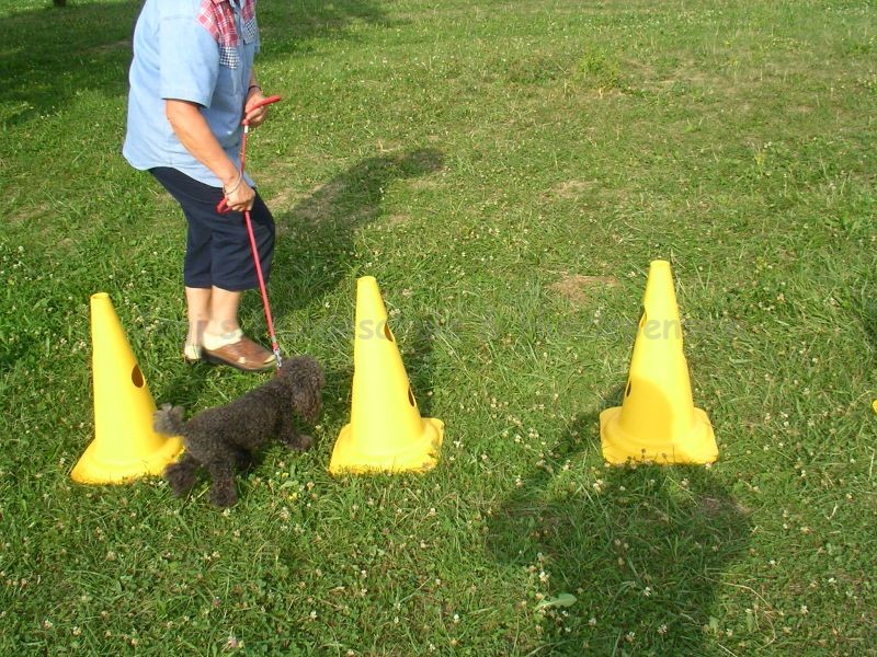 Uschi s Vormittagsgruppe0028 i