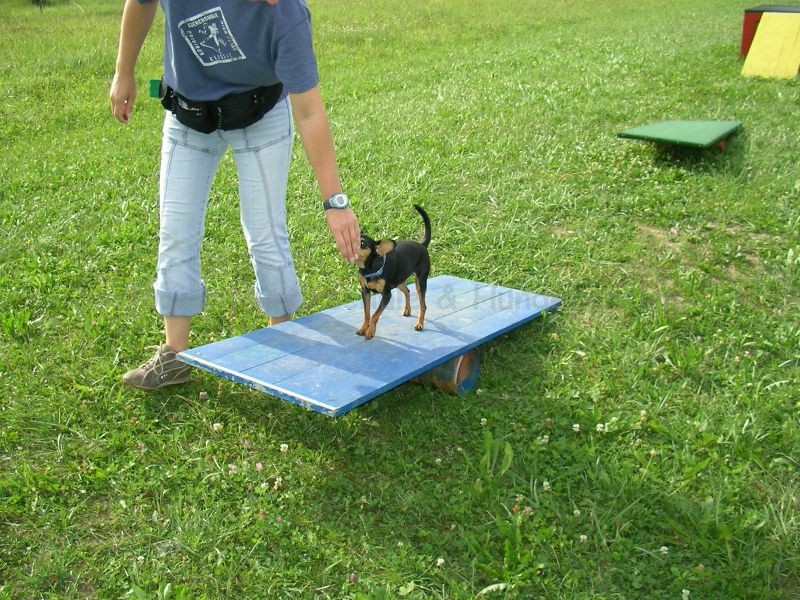 Uschi s Vormittagsgruppe0035 i