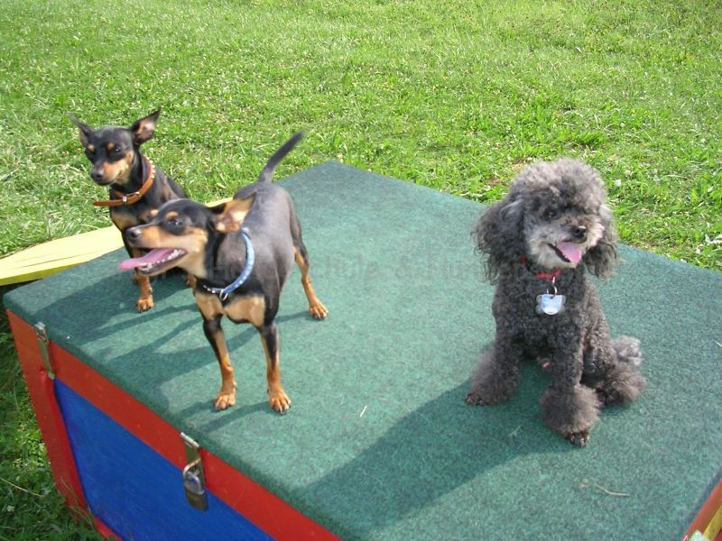 Uschi s Vormittagsgruppe0040 i