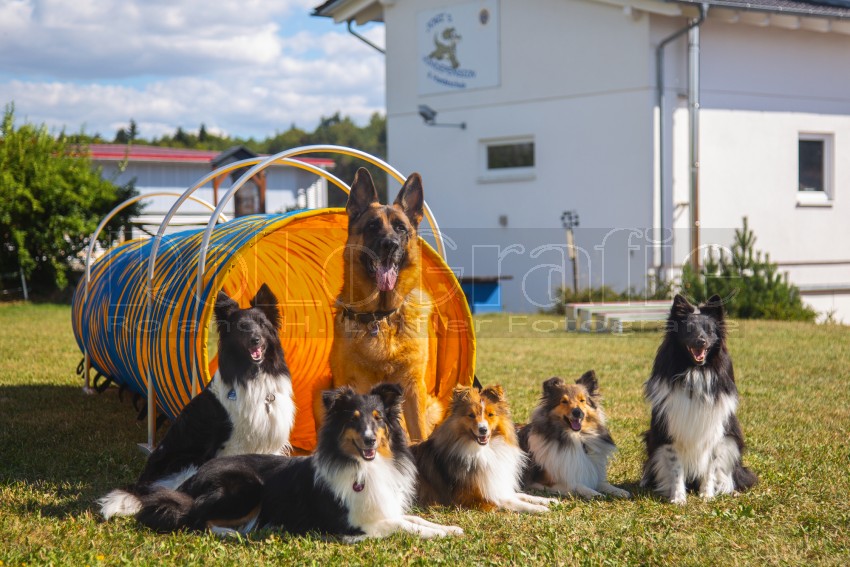 Jogis Hundeschule 067