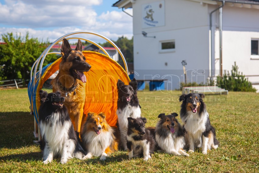 Jogis Hundeschule 071